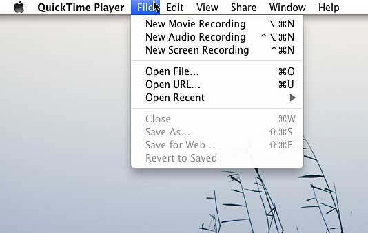 Mac Screen Recorder - Quicktime