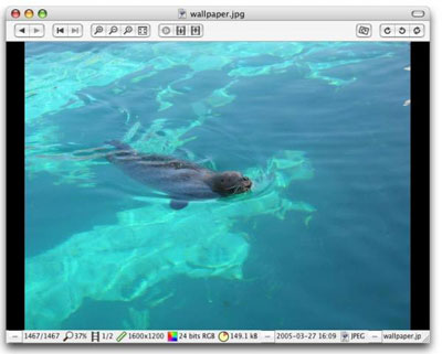Free Image Viewer for Mac - Xee 